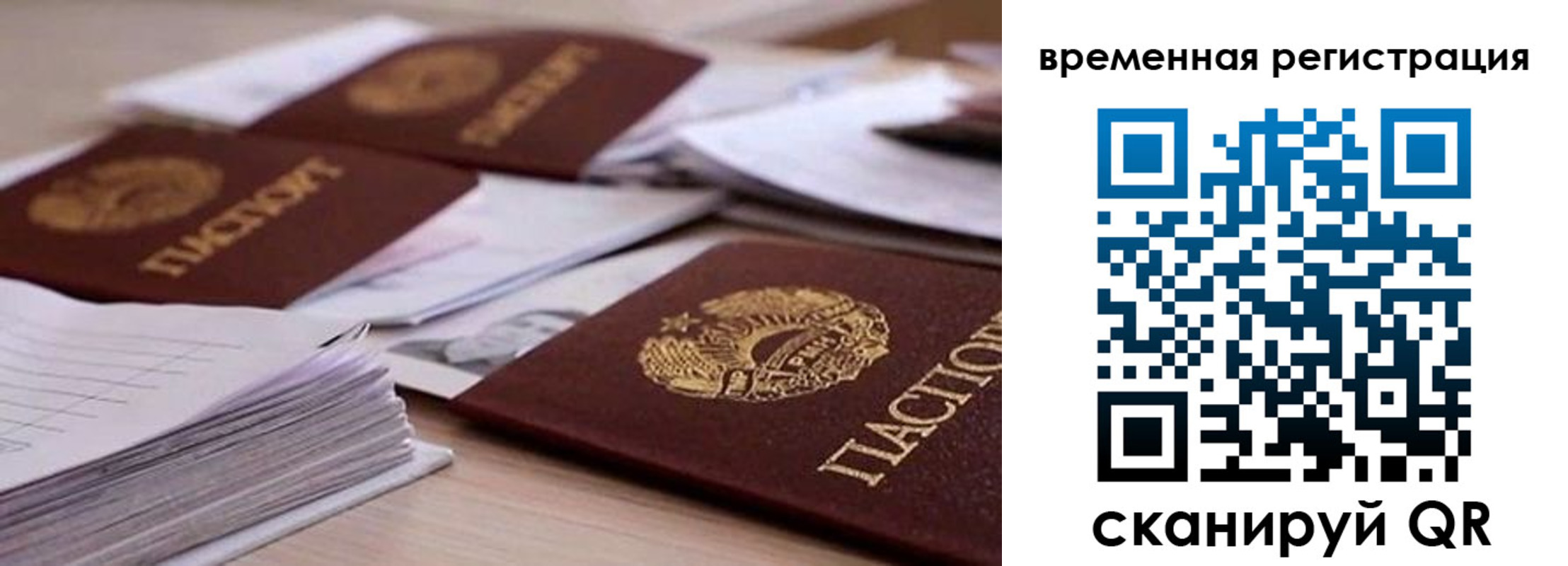 временная регистрация поиск в Новоалександровске